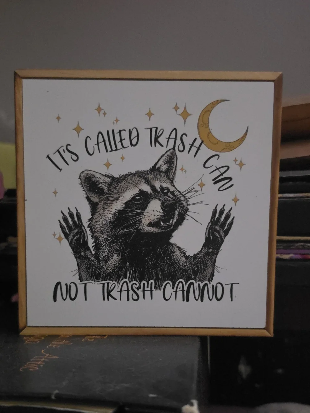 Raccoon 